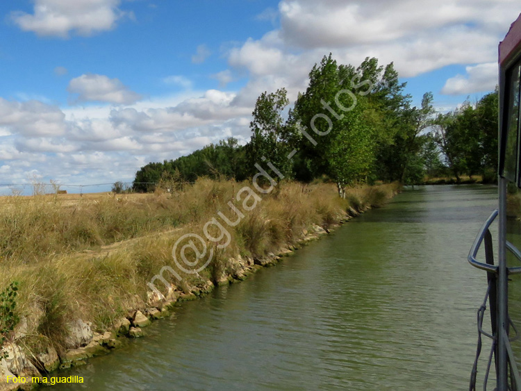 MEDINA DE RIOSECO - CANAL DE CASTILLA (119)