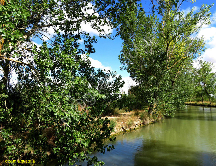 MEDINA DE RIOSECO - CANAL DE CASTILLA (120)