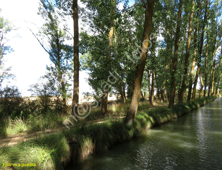 MEDINA DE RIOSECO - CANAL DE CASTILLA (125)