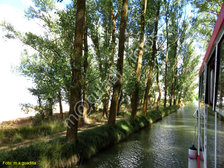 MEDINA DE RIOSECO - CANAL DE CASTILLA (126)