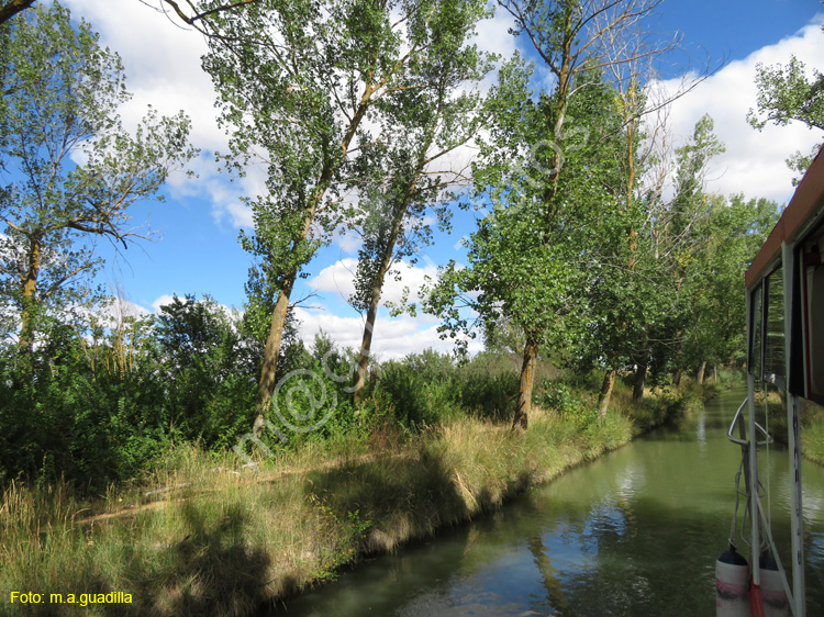 MEDINA DE RIOSECO - CANAL DE CASTILLA (129)