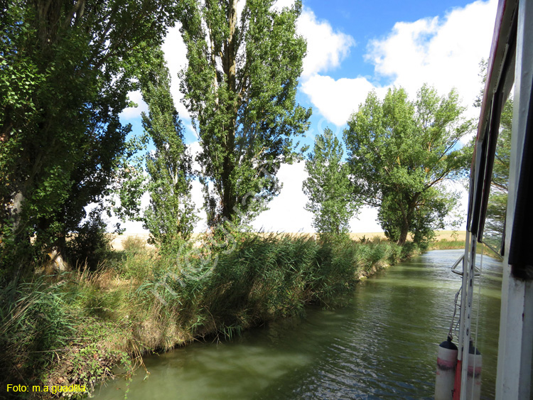 MEDINA DE RIOSECO - CANAL DE CASTILLA (130)