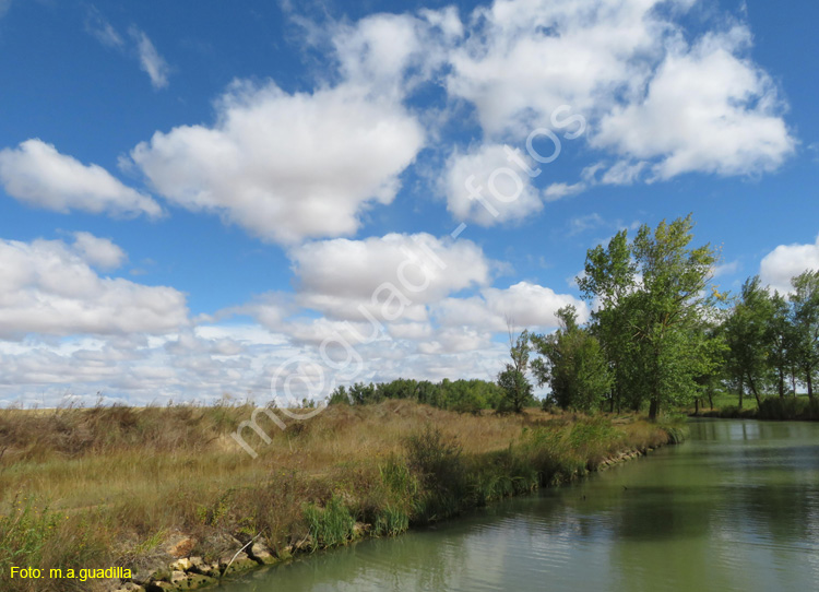 MEDINA DE RIOSECO - CANAL DE CASTILLA (132)