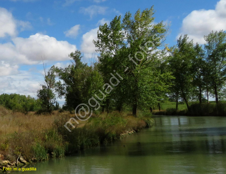 MEDINA DE RIOSECO - CANAL DE CASTILLA (133)