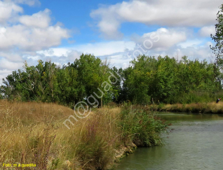 MEDINA DE RIOSECO - CANAL DE CASTILLA (135)