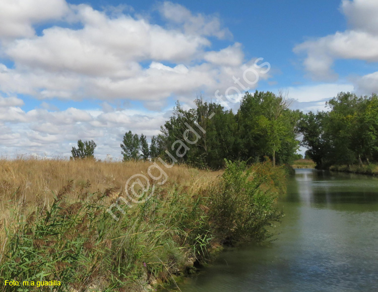 MEDINA DE RIOSECO - CANAL DE CASTILLA (136)