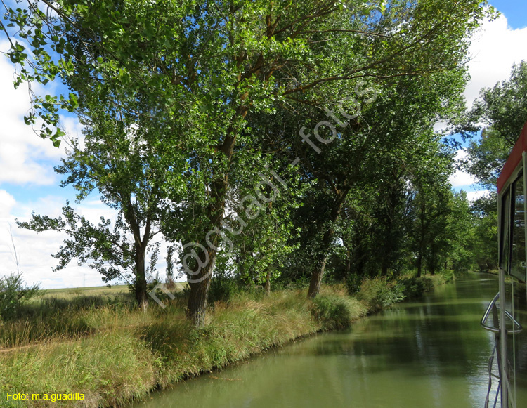 MEDINA DE RIOSECO - CANAL DE CASTILLA (140)