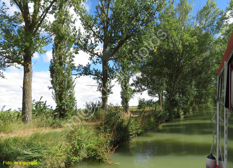 MEDINA DE RIOSECO - CANAL DE CASTILLA (141)