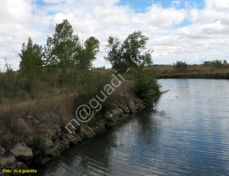 MEDINA DE RIOSECO - CANAL DE CASTILLA (147)