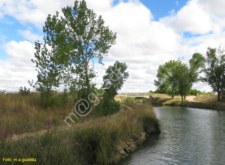 MEDINA DE RIOSECO - CANAL DE CASTILLA (149)