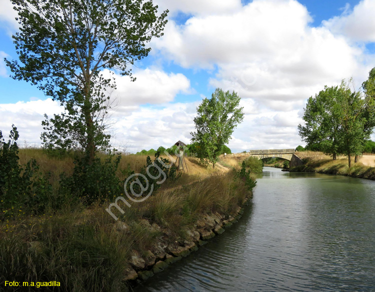 MEDINA DE RIOSECO - CANAL DE CASTILLA (150)