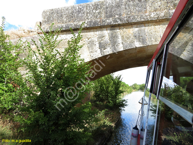 MEDINA DE RIOSECO - CANAL DE CASTILLA (154)