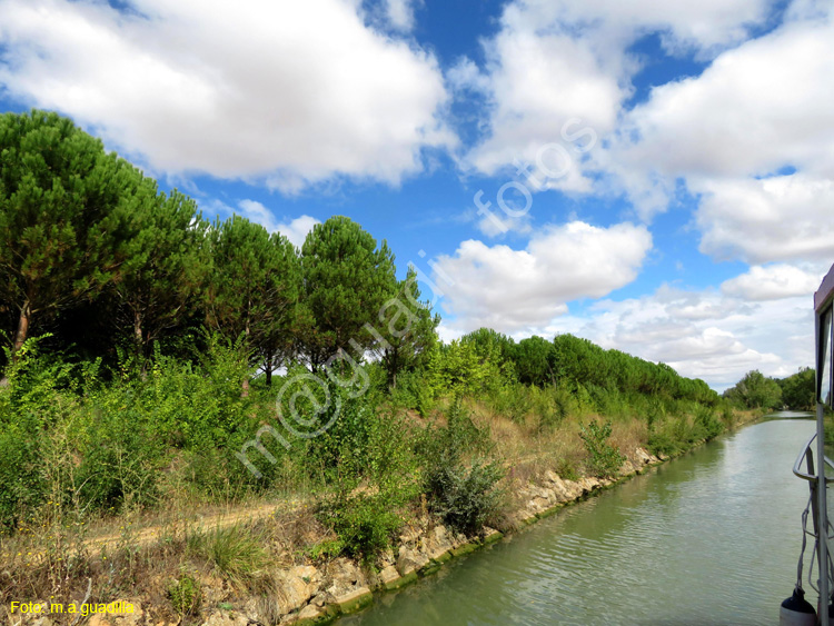 MEDINA DE RIOSECO - CANAL DE CASTILLA (155)