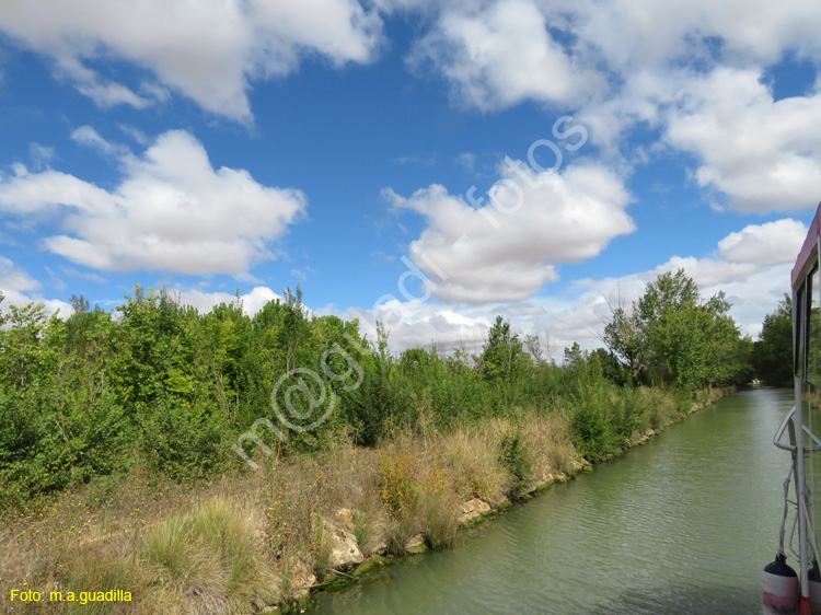 MEDINA DE RIOSECO - CANAL DE CASTILLA (156)