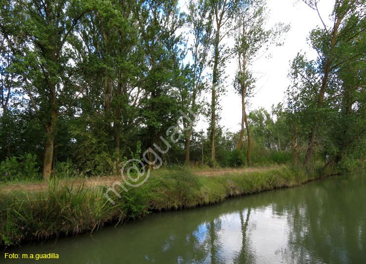 MEDINA DE RIOSECO - CANAL DE CASTILLA (160)