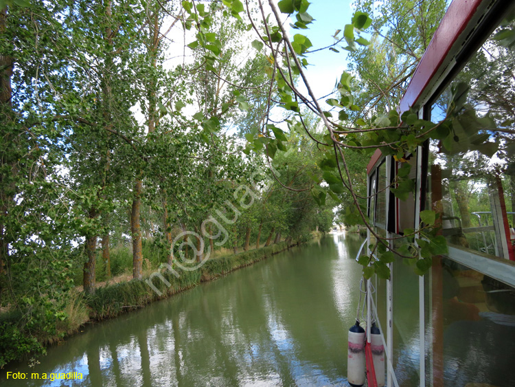 MEDINA DE RIOSECO - CANAL DE CASTILLA (161)