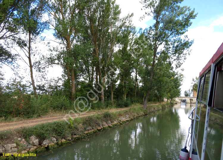 MEDINA DE RIOSECO - CANAL DE CASTILLA (162)