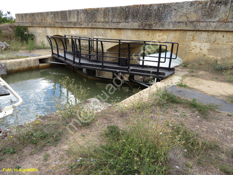 MEDINA DE RIOSECO - CANAL DE CASTILLA (169)