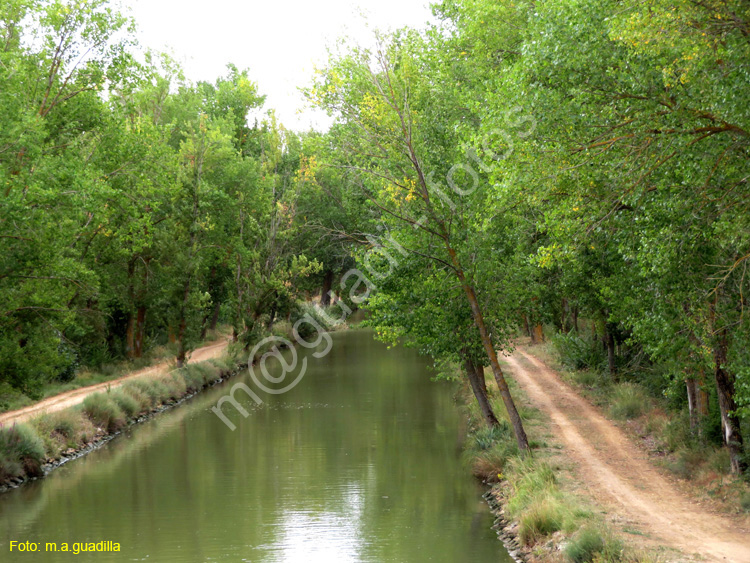 MEDINA DE RIOSECO - CANAL DE CASTILLA (172)