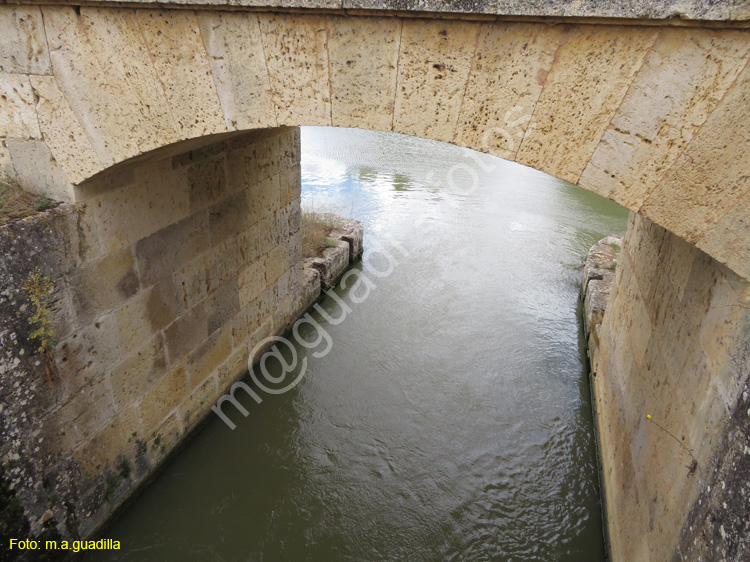 MEDINA DE RIOSECO - CANAL DE CASTILLA (176)