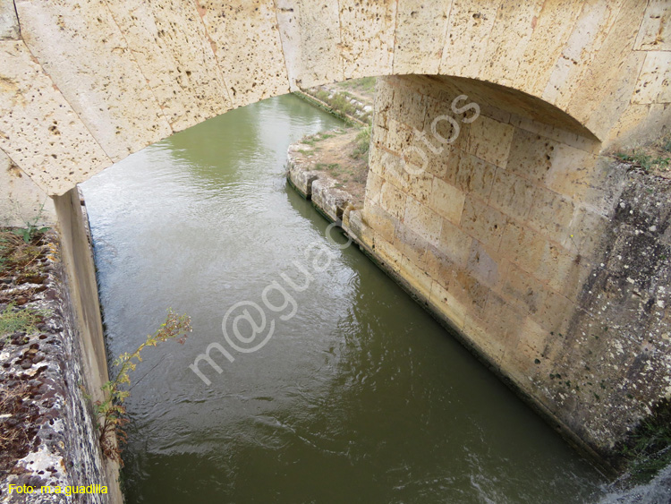 MEDINA DE RIOSECO - CANAL DE CASTILLA (178)