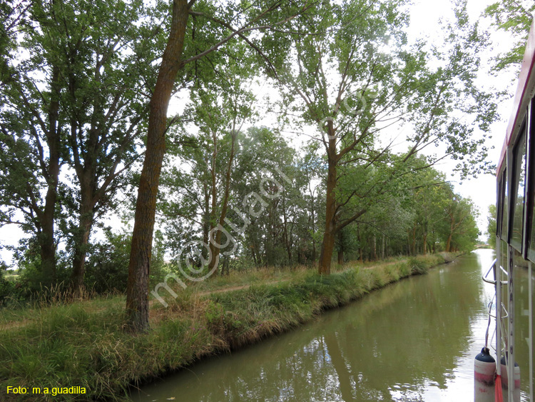 MEDINA DE RIOSECO - CANAL DE CASTILLA (197)