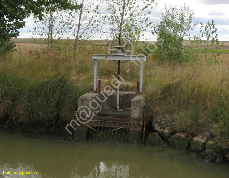 MEDINA DE RIOSECO - CANAL DE CASTILLA (199)