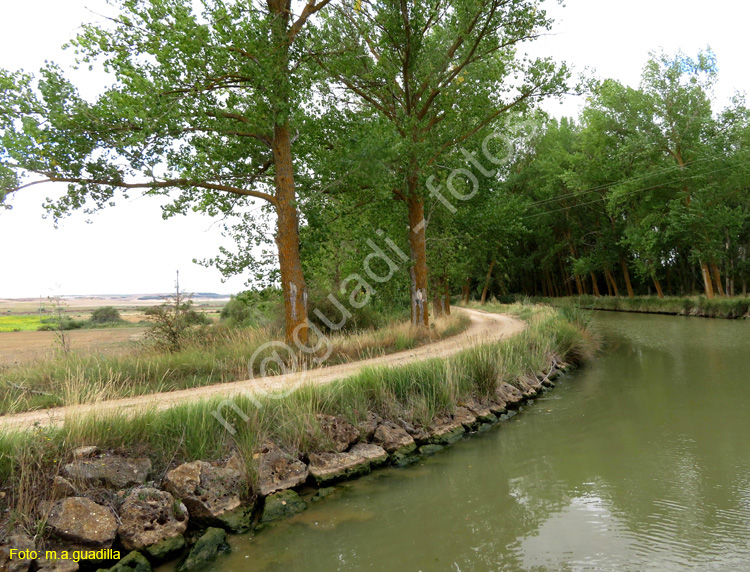 MEDINA DE RIOSECO - CANAL DE CASTILLA (200)