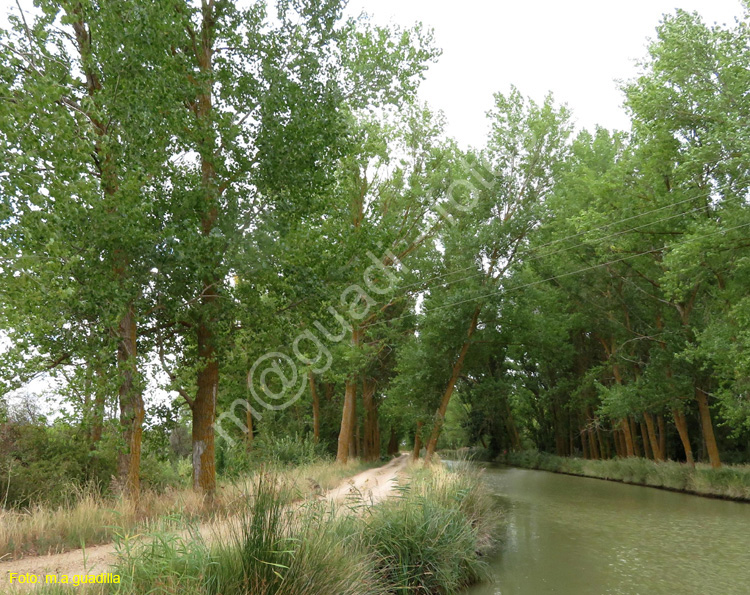 MEDINA DE RIOSECO - CANAL DE CASTILLA (201)