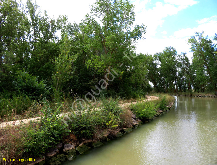 MEDINA DE RIOSECO - CANAL DE CASTILLA (204)