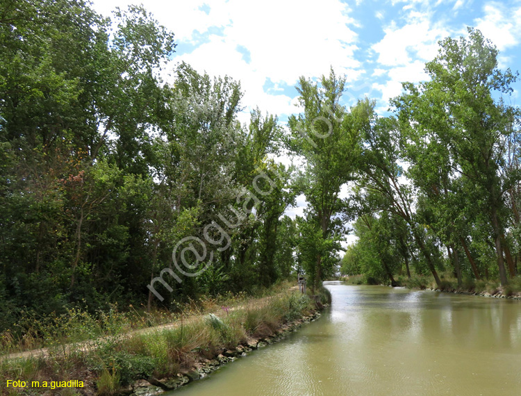 MEDINA DE RIOSECO - CANAL DE CASTILLA (205)