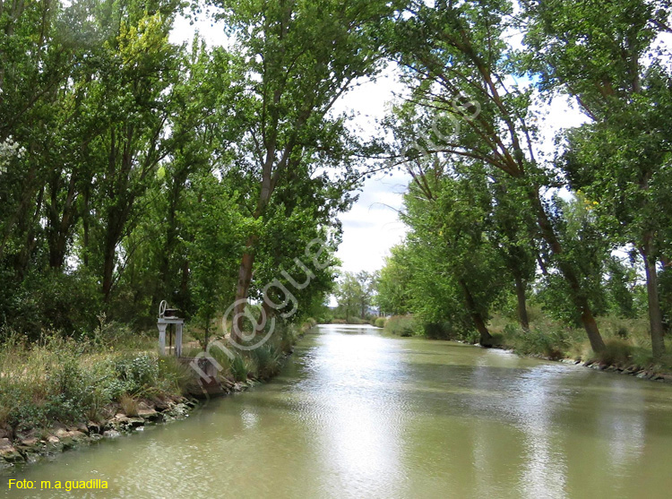 MEDINA DE RIOSECO - CANAL DE CASTILLA (206)