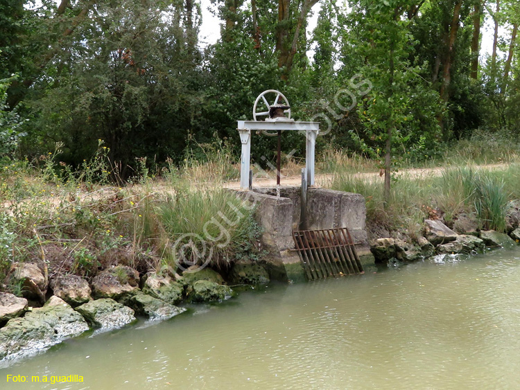 MEDINA DE RIOSECO - CANAL DE CASTILLA (207)