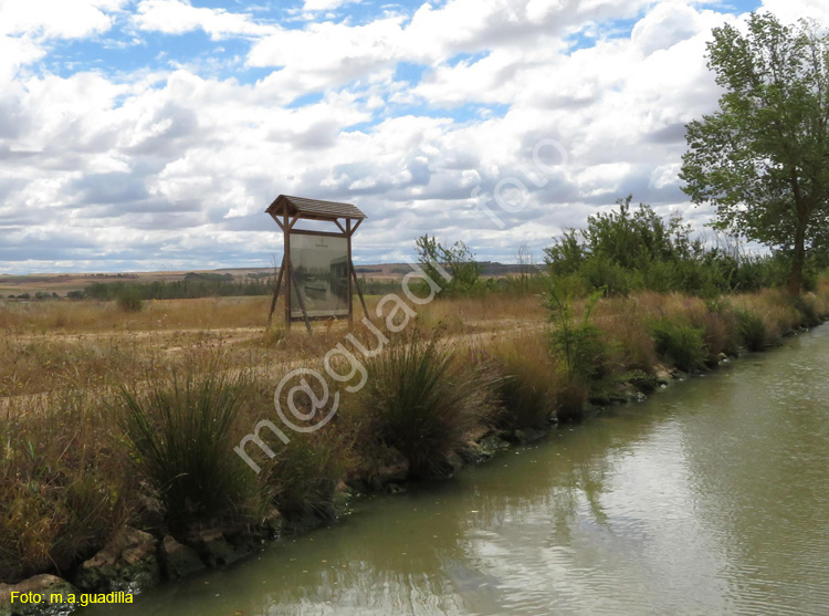 MEDINA DE RIOSECO - CANAL DE CASTILLA (208)