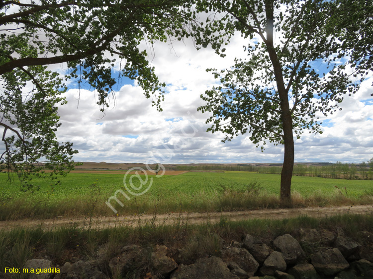 MEDINA DE RIOSECO - CANAL DE CASTILLA (209)