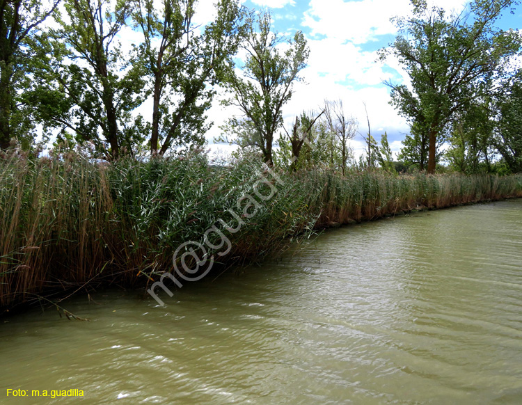 MEDINA DE RIOSECO - CANAL DE CASTILLA (210)