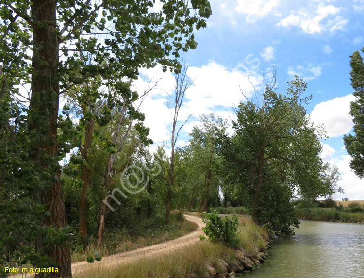 MEDINA DE RIOSECO - CANAL DE CASTILLA (211)