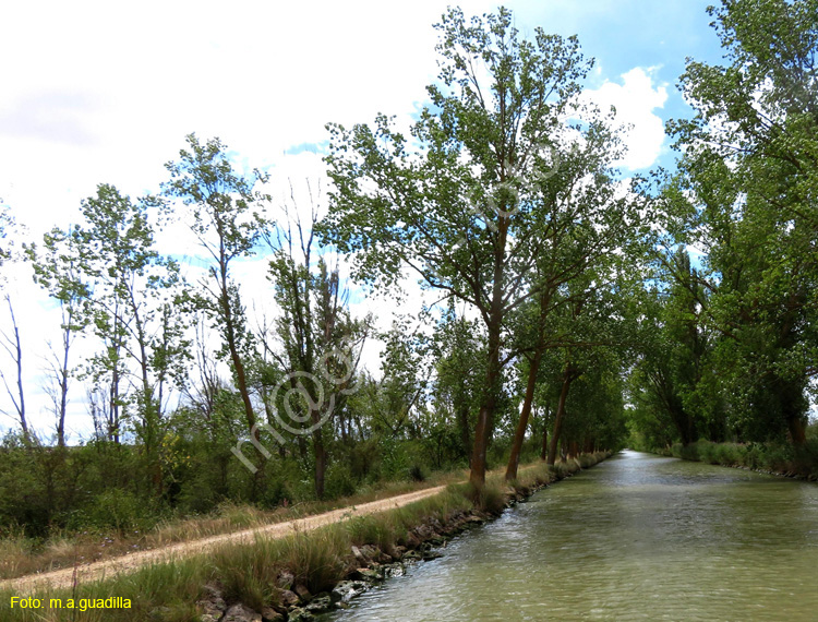 MEDINA DE RIOSECO - CANAL DE CASTILLA (212)