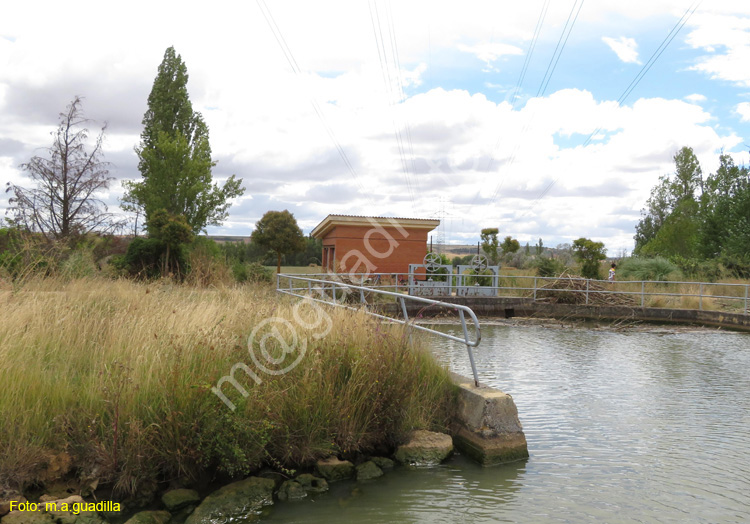 MEDINA DE RIOSECO - CANAL DE CASTILLA (214)