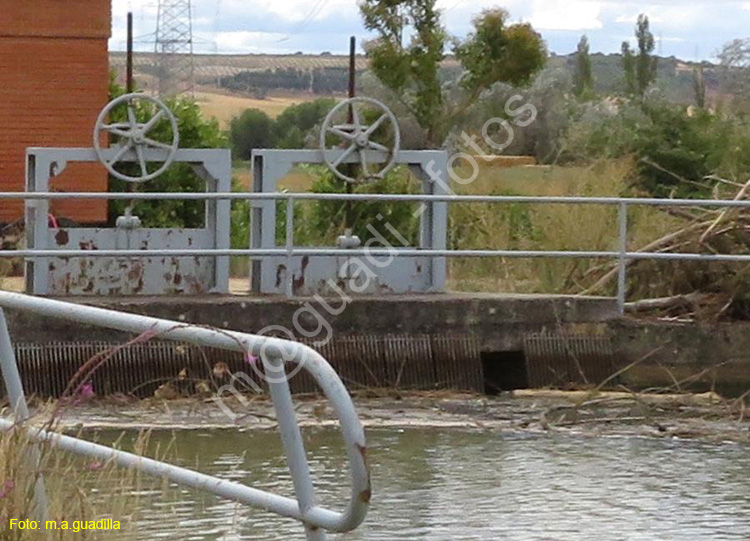 MEDINA DE RIOSECO - CANAL DE CASTILLA (215)