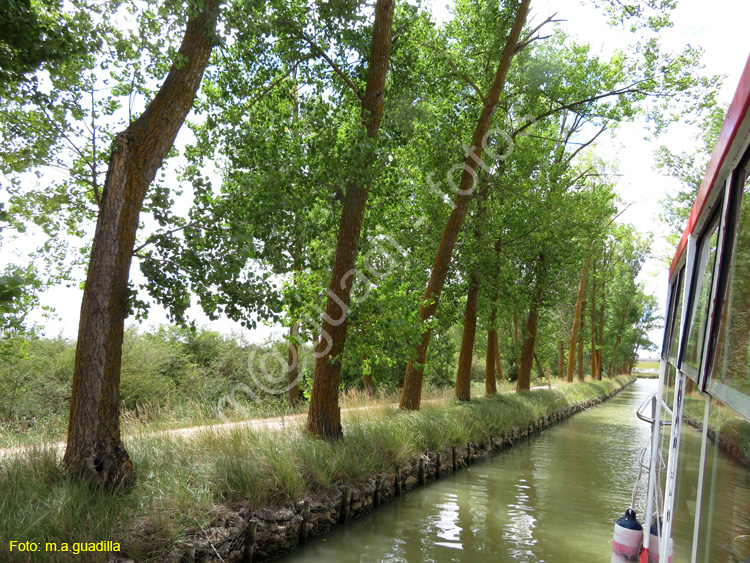 MEDINA DE RIOSECO - CANAL DE CASTILLA (216)