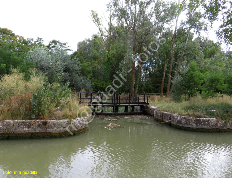 MEDINA DE RIOSECO - CANAL DE CASTILLA (219)