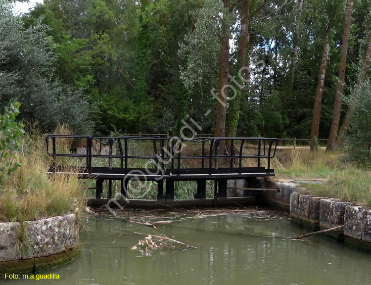 MEDINA DE RIOSECO - CANAL DE CASTILLA (220)