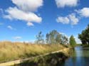 MEDINA DE RIOSECO - CANAL DE CASTILLA (106)