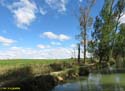 MEDINA DE RIOSECO - CANAL DE CASTILLA (108)