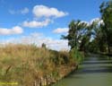 MEDINA DE RIOSECO - CANAL DE CASTILLA (109)