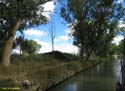 MEDINA DE RIOSECO - CANAL DE CASTILLA (117)