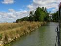 MEDINA DE RIOSECO - CANAL DE CASTILLA (119)
