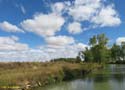 MEDINA DE RIOSECO - CANAL DE CASTILLA (132)