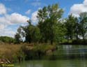 MEDINA DE RIOSECO - CANAL DE CASTILLA (133)